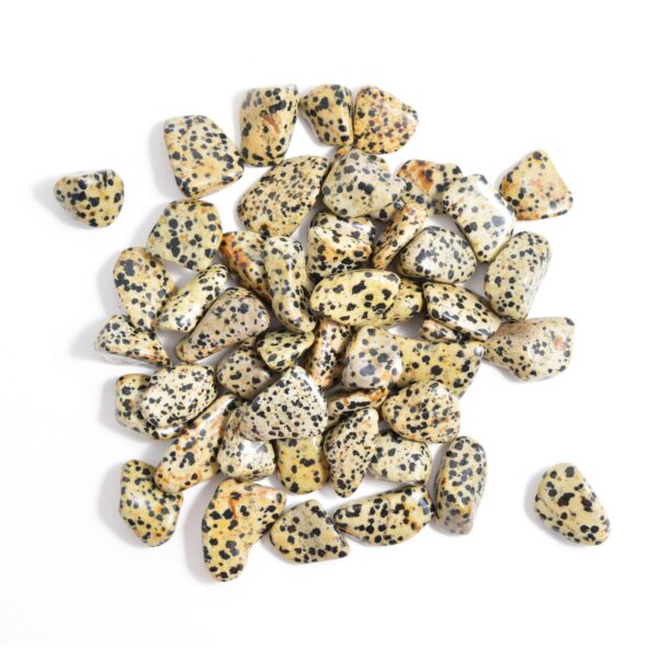 Large Dalmatian Jasper Tumbled Gemstones