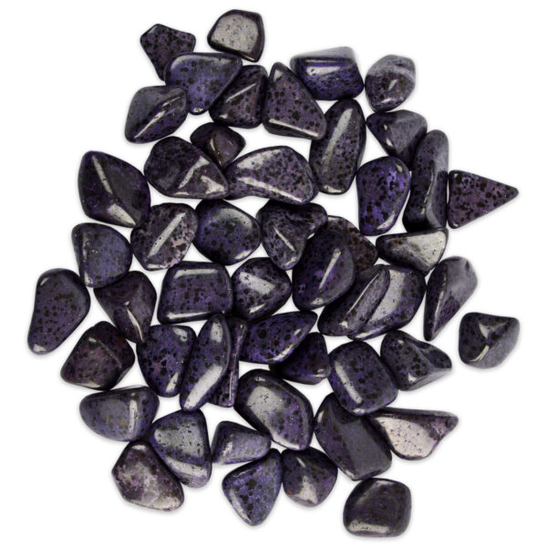 Large Purple Dalmatian Jasper Tumbled Gemstones