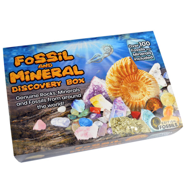 Fossil & Mineral Discovery Kit