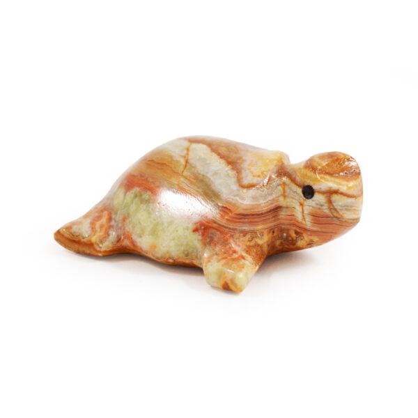 Mini Onyx Animals - Turtle