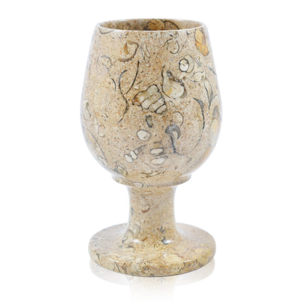 5" Fossilstone Goblets