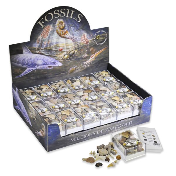 Fossil Box Pack