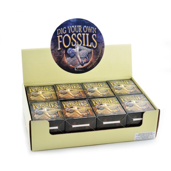 Dig Your Own Fossils Pack