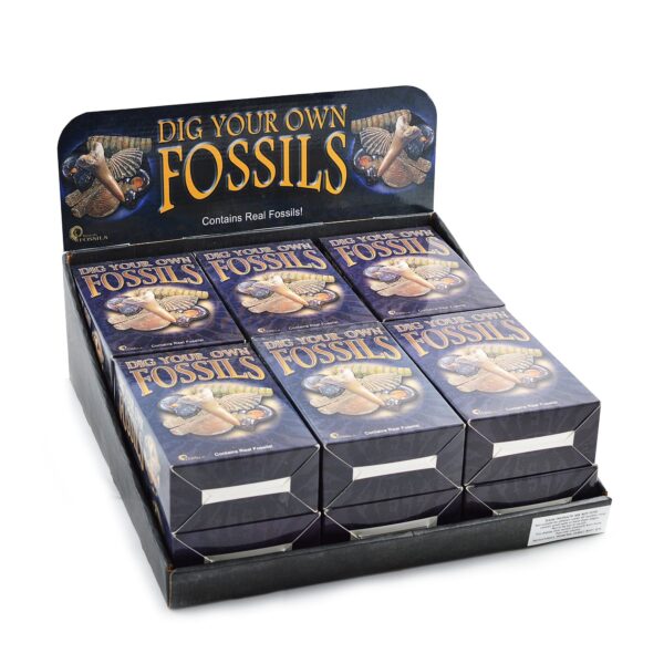 Dig Your Own Fossils Pack - Large