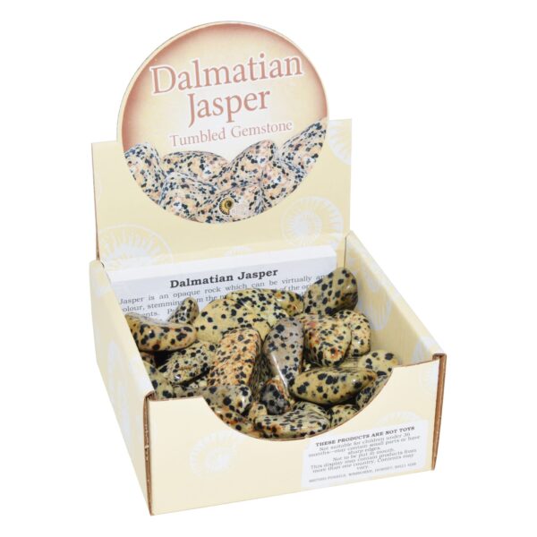 Large Dalmatian Jasper Tumbled Gemstones Pack