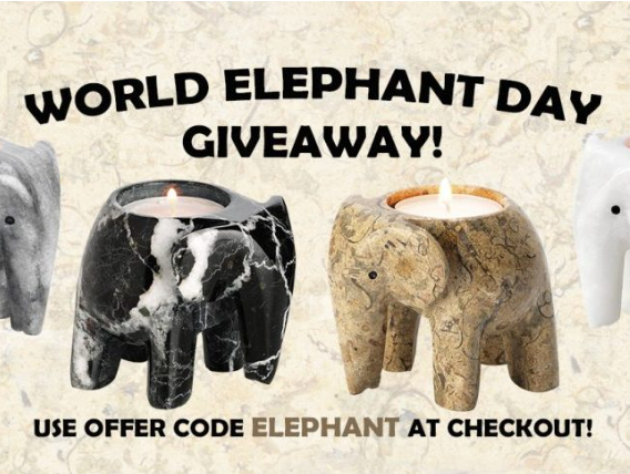 World Elephant Day Giveaway!