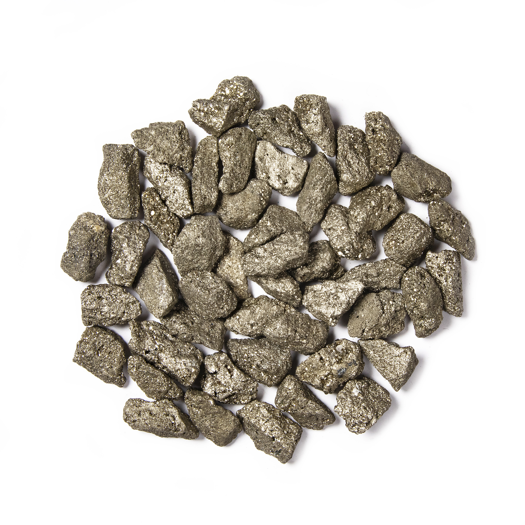 Fool's Gold (Pyrite) - British Fossils