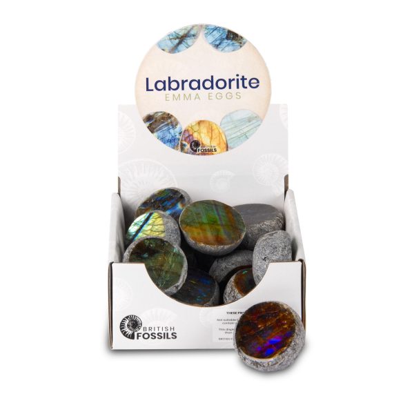 Labradorite Emma Egg Till-Point Pack