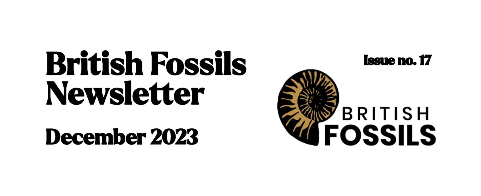 British Fossils Newsletter – December 2023
