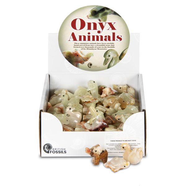 Mini Onyx Animal Pack