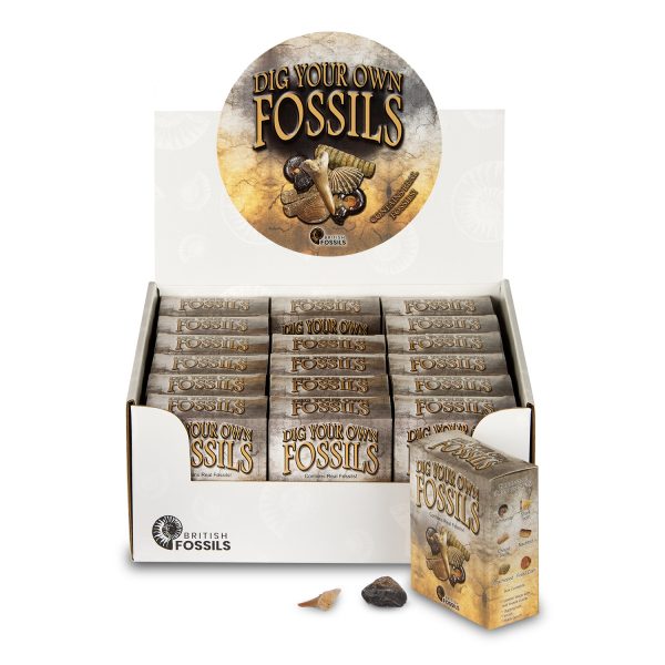 Dig Your Own Fossils Pack