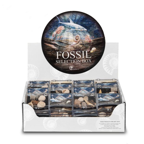 Fossil Selection Box Pack