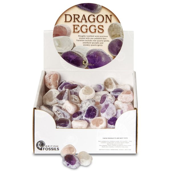 Dragon Eggs