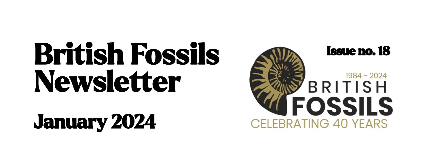 British Fossils Newsletter – January 2024