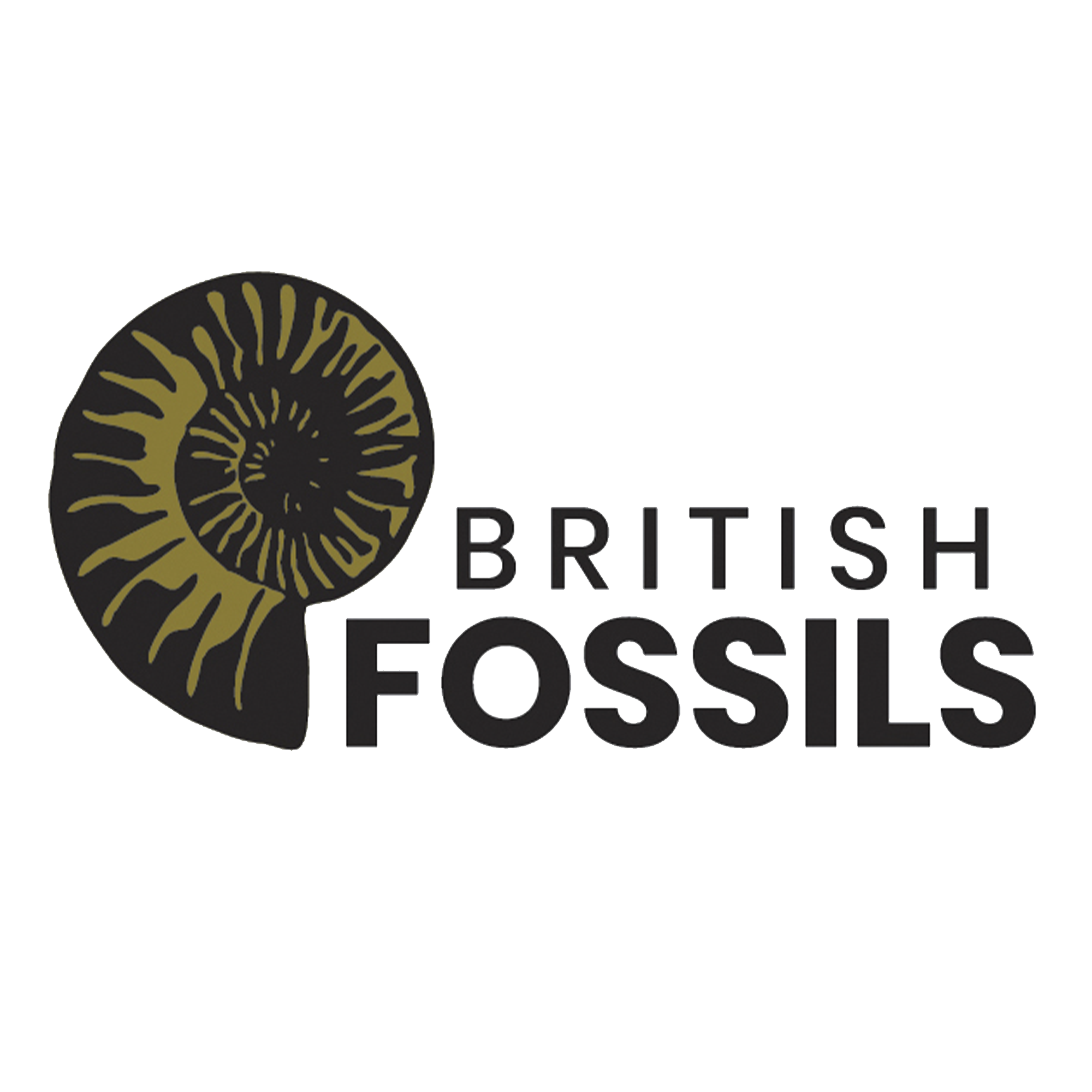 British Fossils