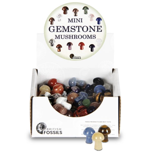 Mini Gemstone Mushrooms