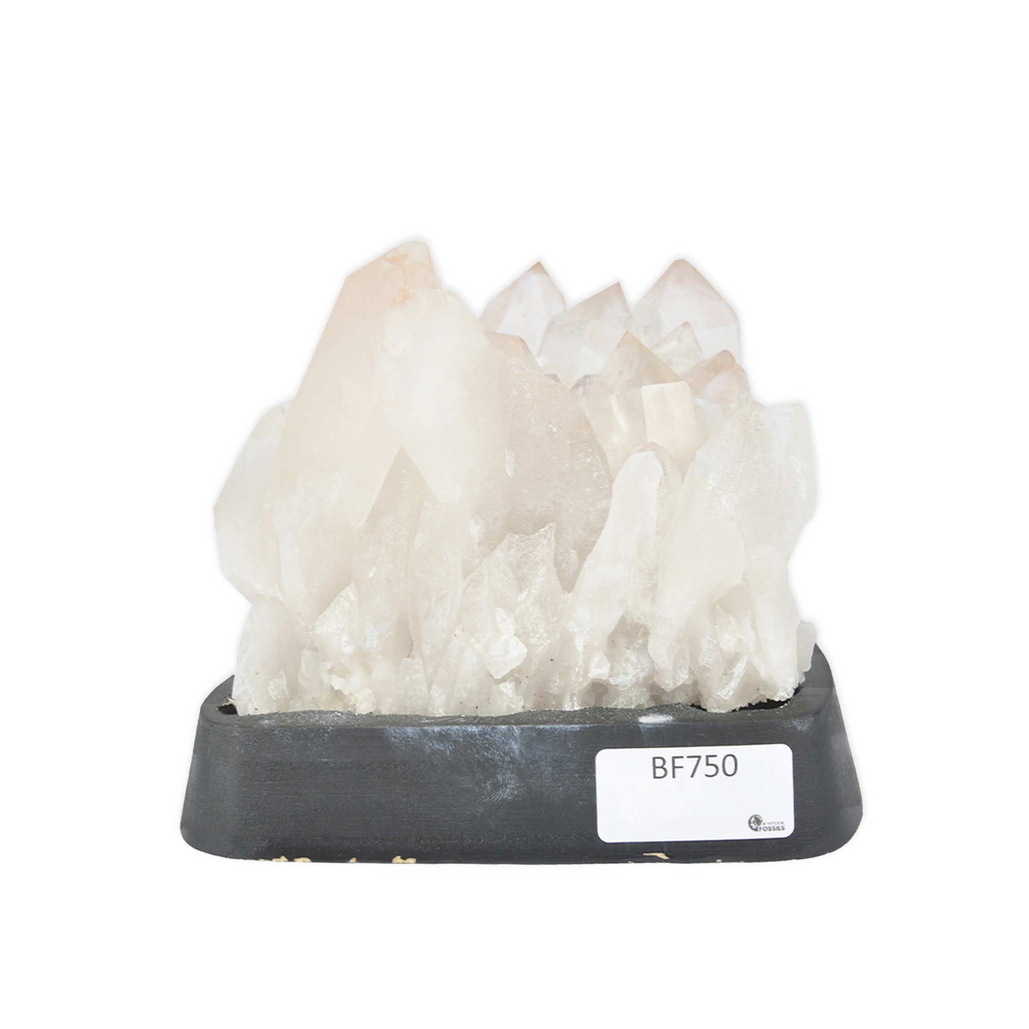 Quartz Druze on Wooden Base