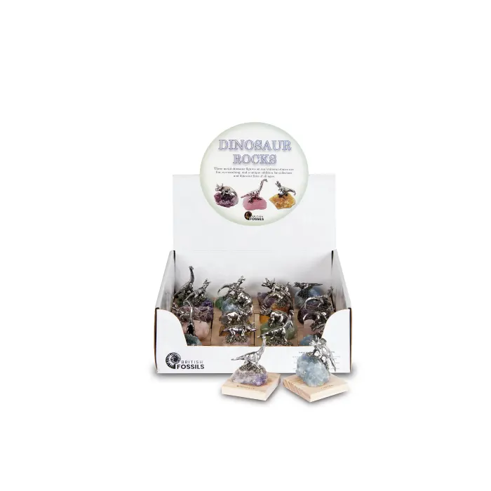 Dinosaur gift packs