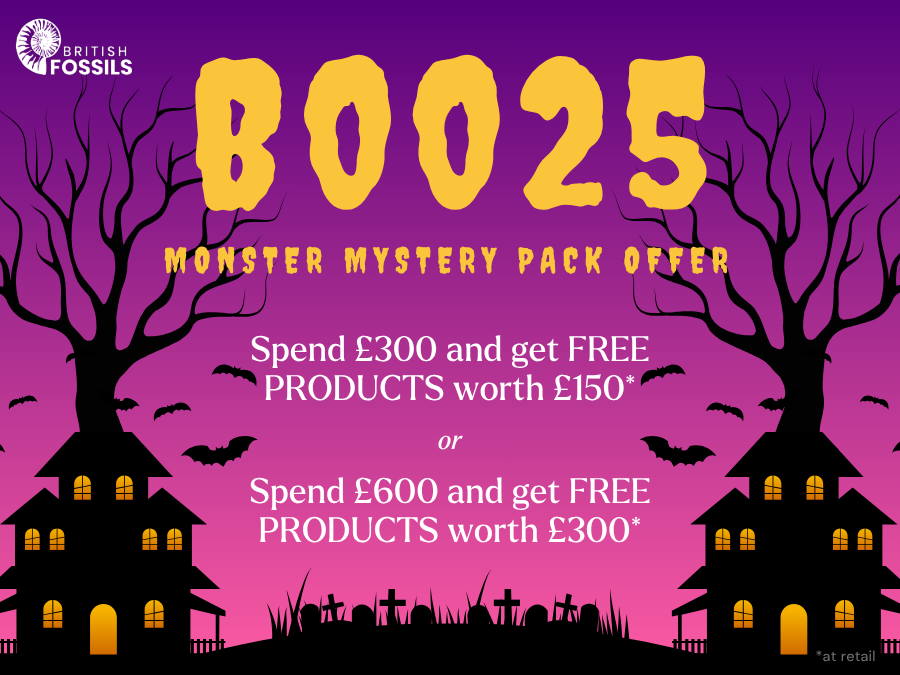 Our MONSTER mystery pack is here!