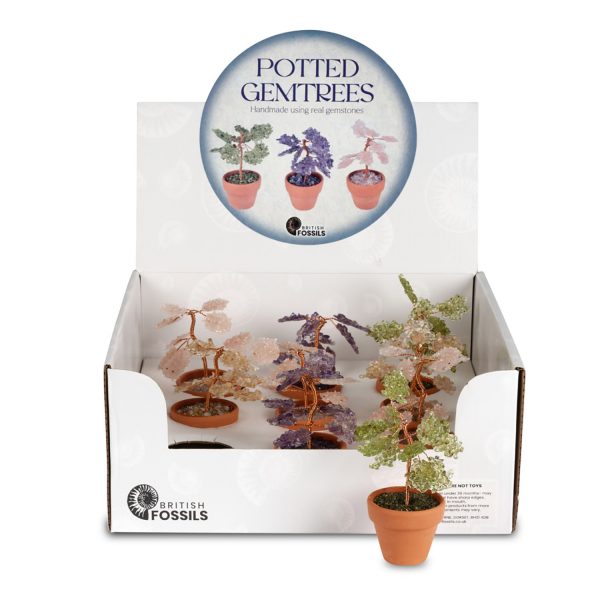 Potted Gemtree Pack