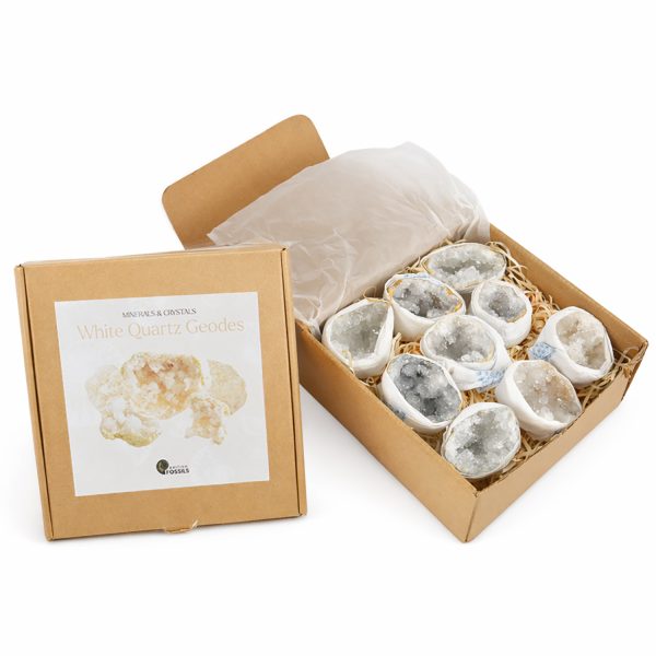 Boxed Natural White Geode Halves- 10% Off for June