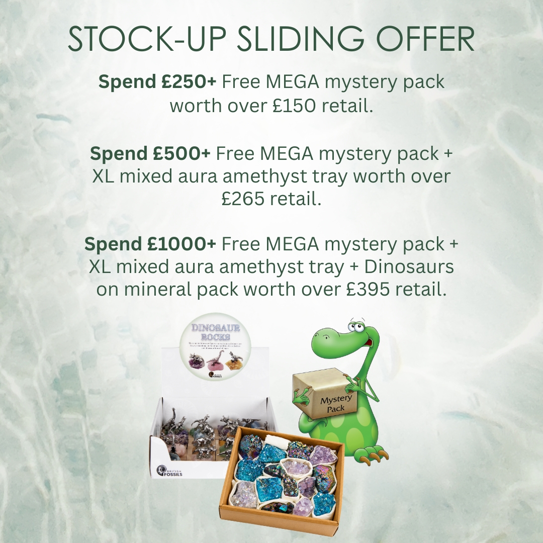 Stock Up For Summer!